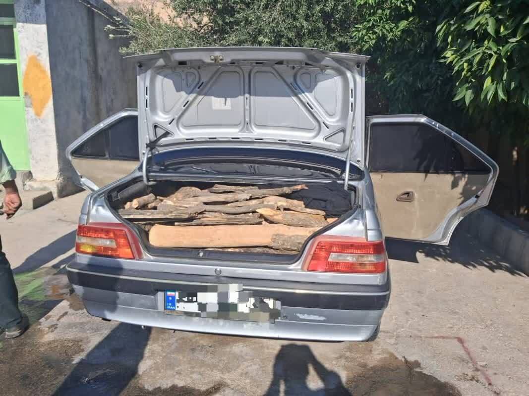 کشف و توقیف ۶/۵ تن چوب و زغال قاچاق در یک هفته کشف و توقیف ۶/۵ تن چوب و زغال قاچاق در یک هفته