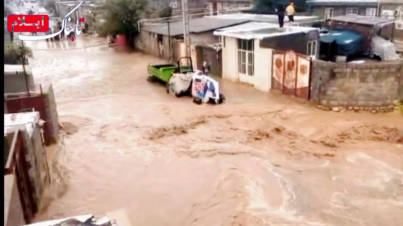 وقوع سیلاب در جنوب ایلام/دستور رسیدگی فوری استاندار ایلام + فیلم