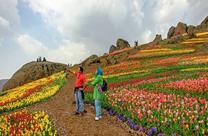 فشار سنگین به زیرساخت‌هاي استان البرز به دليل مهاجرت