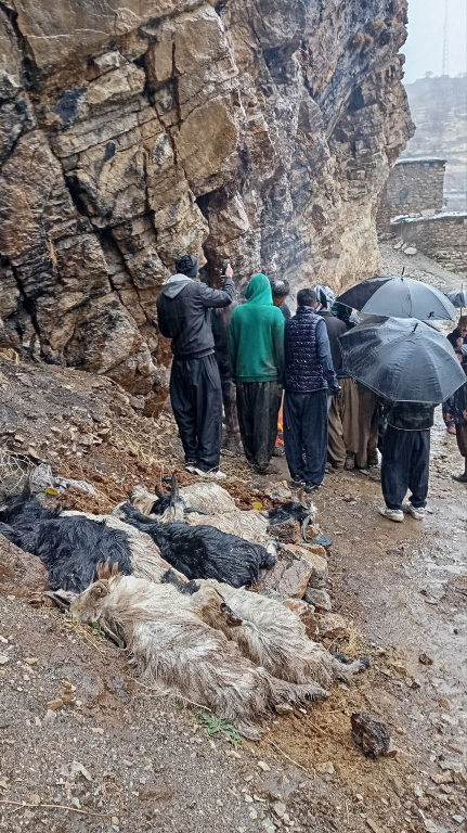 آخرین جزئیات ریزش کوه در هورامان تخت/ هفت رأس دام تلف و خسارت شدید به دو خانه وارد شد + تصویر