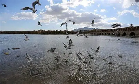 اصفهان بدون پرندگان مهاجر؛ فصل آخر یک سریال آبی